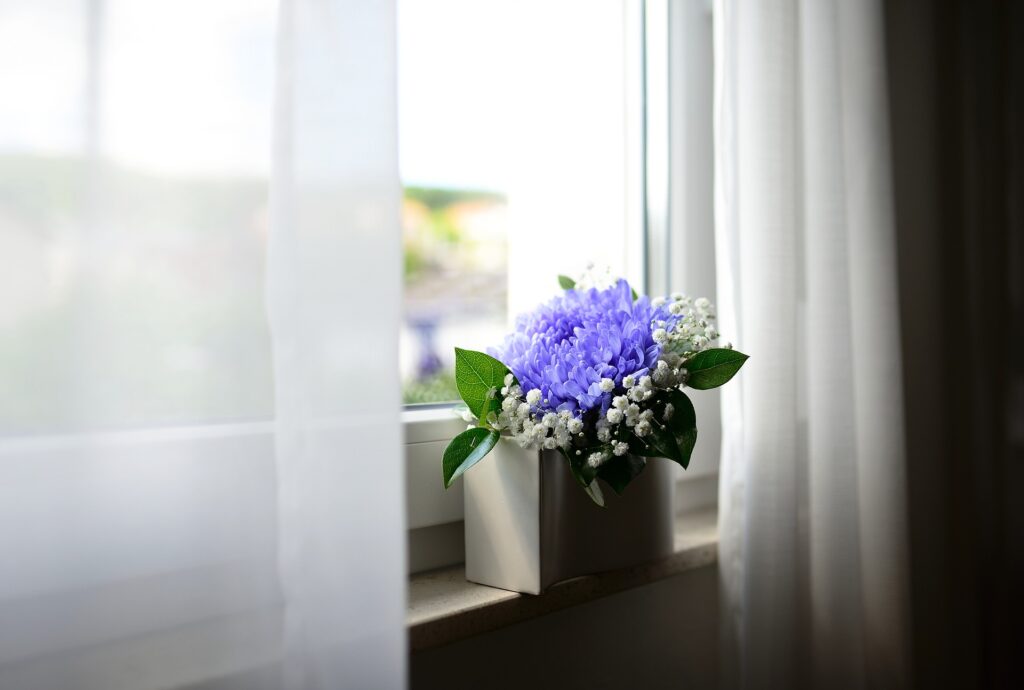 窓際の紫の花